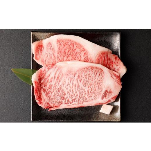 ふるさと納税 京都府 京都市 京都肉 サーロインステーキ（約220g×2枚）