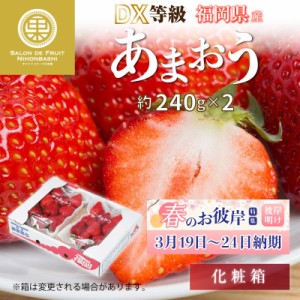 [予約 2024年2月11日-2月14日の納品] バレンタインデー あまおう 約 240g×2 大粒サイズ DX または G 福岡県産 大粒 いちご 苺 ブランド