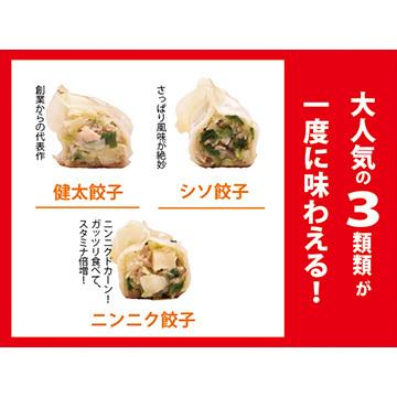 さくら食品宇都宮餃子館 宇都宮餃子館　当店の人気の餃子3種セット(健太・ニンニク・しそ)各8個×2パック(餃子のたれ付き)