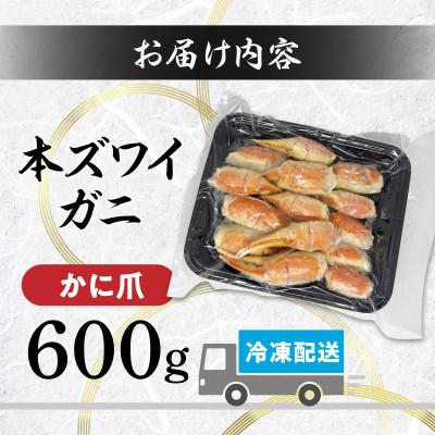 ふるさと納税 登別市 訳あり!冷凍ボイルずわいがにの「爪」だけを600g集めました