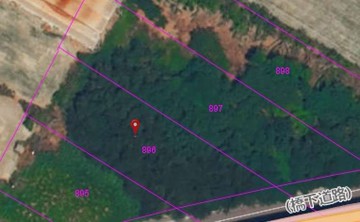 彰化西濱快速道路｜入手低總價臨路農地｜彰化縣芳苑鄉新漢寶段