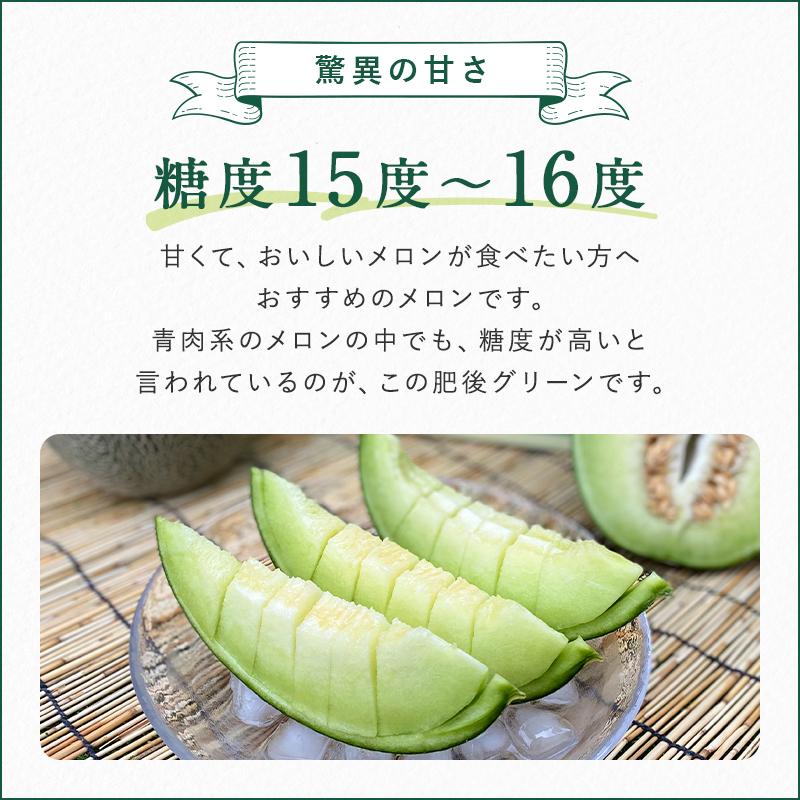 肥後グリーン（メロン）１箱８ｋｇ ４・５玉入　熊本産