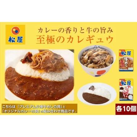 ふるさと納税 松屋 カレー 牛めし 20個 セット 冷凍 牛丼 カレー 埼玉県嵐山町