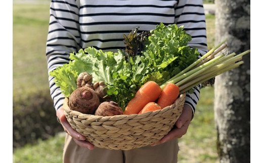 越知産市の季節の野菜セット(年1回発送)　産地直送　旬野菜