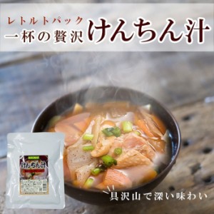 レトルト 総菜 けんちん汁250ｇ 醤油味 具だくさん 長期１年保存 レトルトみそ汁