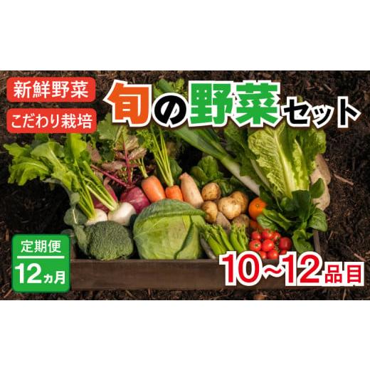 ふるさと納税 徳島県 阿波市 野菜 お楽しみ 定期便 12回 10~12品目 詰め合わせ セット 玉ねぎ とまと じゃがいも