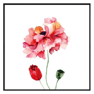 Boluo 菠蘿選畫所 花香調I 掛畫 BFTF6602B 60 x 60cm - 居家裝飾藝術  黑色