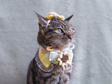 【 向日葵・ひまわり系列】寵物領巾 貓咪/狗狗 花花 布花