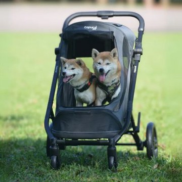 Capucci pet 卡普奇 美國 巡弋號 Cruiser II 中大型寵物推車 - 多款可選