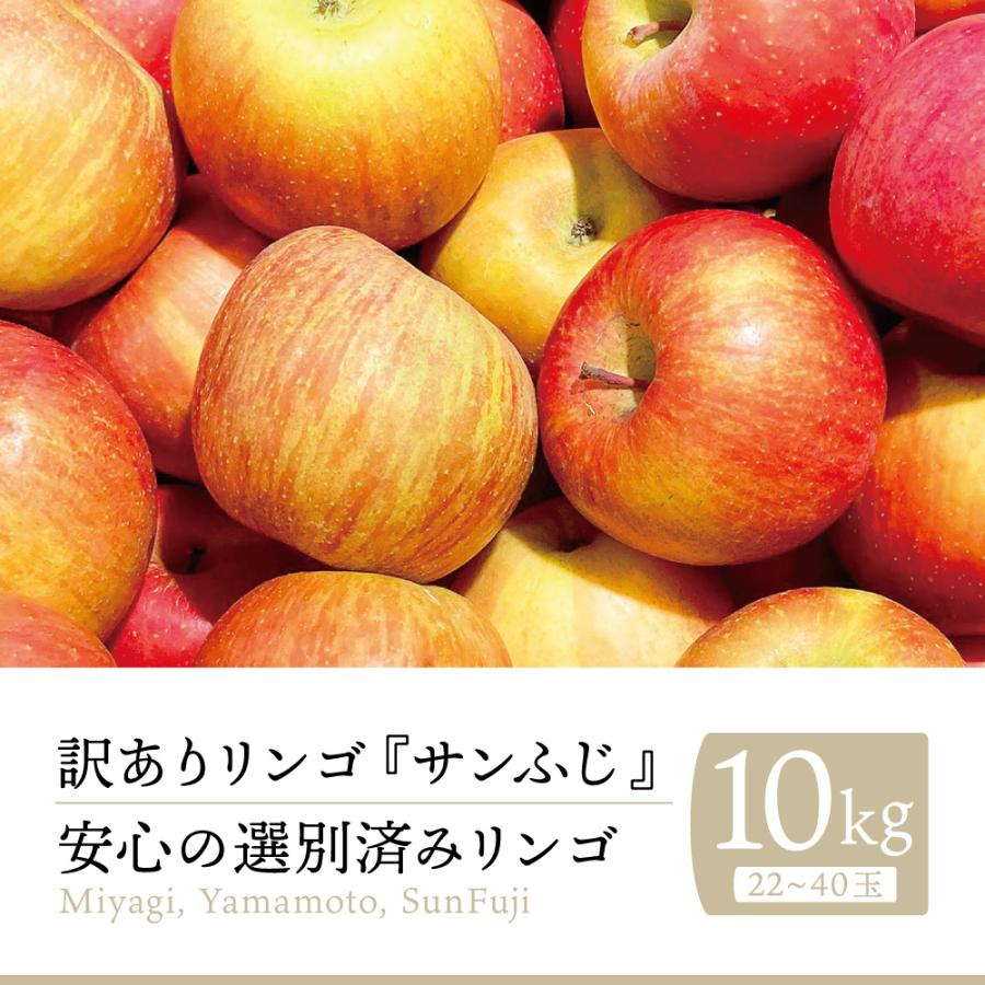 訳あり りんご サンふじ 宮城県産 ご自宅用 10kg（22〜36玉）｜ 国産 宮城 林檎