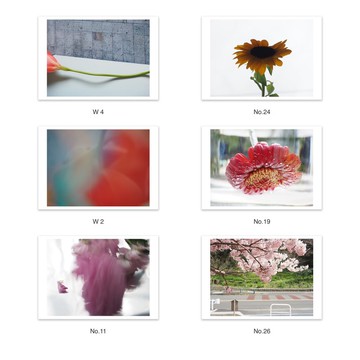 自選十張套組 | 明信片 攝影 | 風景 & 花卉植物 & 建築 & 抽象