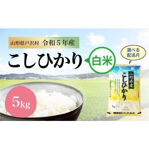 令和5年産 コシヒカリ  5kg（5kg×1袋） ＜配送時期指定可＞ 山形県 戸沢村