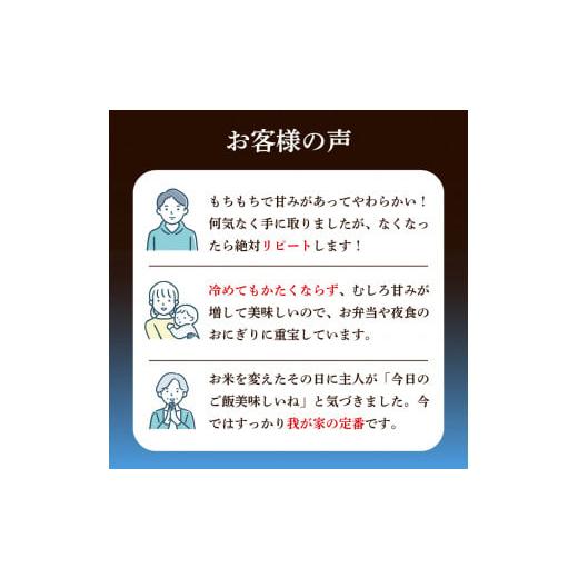 ふるさと納税 山口県 下関市  新米 令和5年産 きぬむすめ 10kg×3回 玄米 やまだ農園 豊田 下関