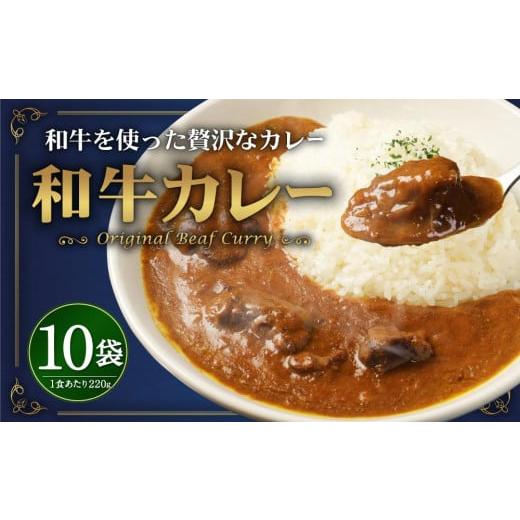 ふるさと納税 大阪府 高槻市 モリタ屋オリジナル和牛カレー10袋