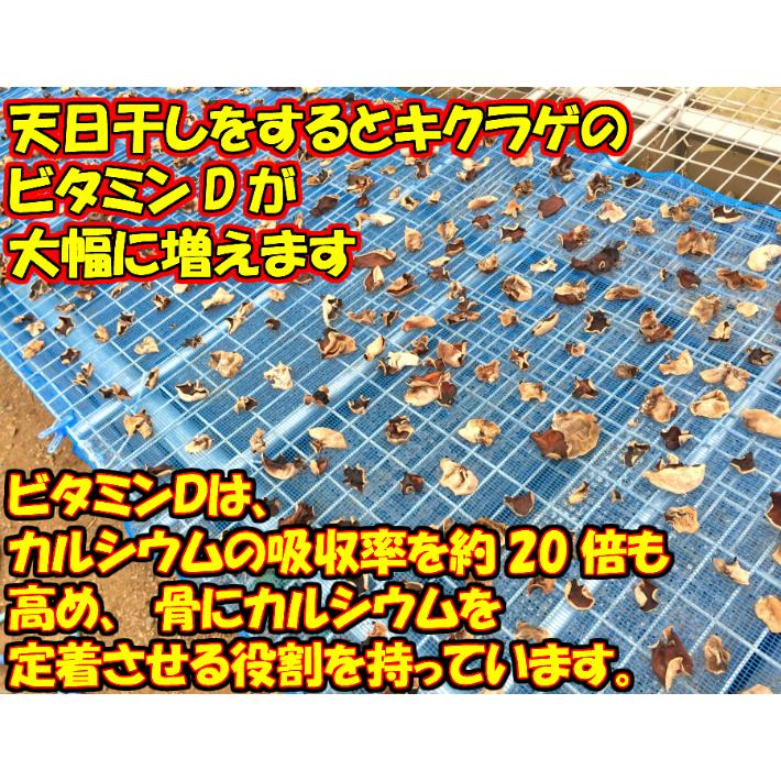 あなたの骨を元気にする黒白訳あり乾燥キクラゲ大容量セット520ｇ（黒80ｇ×4、白100ｇ×2）