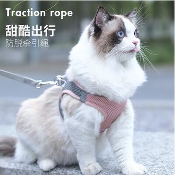 貓咪牽引繩防掙脫溜貓繩春夏外出專用背心式胸背帶狗狗小型犬用品 幸福驛站