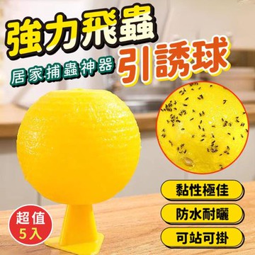 【KNF 康尼菲】升級版強力果蠅飛蟲誘捕器(超值5入)