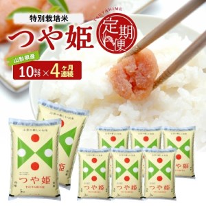SG0021　特別栽培米つや姫　10kg×4回(計40kg) JS