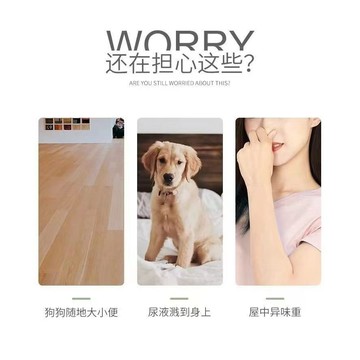 【限時特賣】吸水除臭尿墊  寵物尿墊[]特價處理狗狗尿墊寵物尿不溼泰迪尿布尿片兔子隔尿墊輕微瑕疵按斤