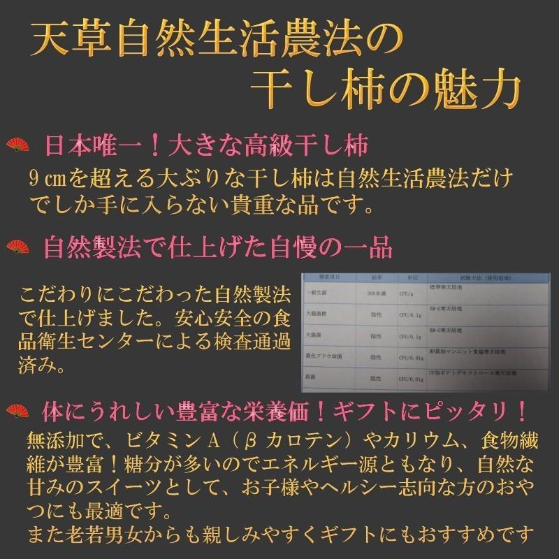 干し柿 3個入 糖度60度以上! お茶菓子 高級お取り寄せ ギフト ドライフルーツ 手土産 甘い 糖度 くまもと プレゼント お彼岸