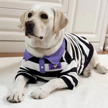 【台灣出貨】寵物服飾 舒適 帥氣 潮牌春秋款 狗狗帥氣衣服 大型犬拉布拉多 金毛 狗狗衣服防掉毛