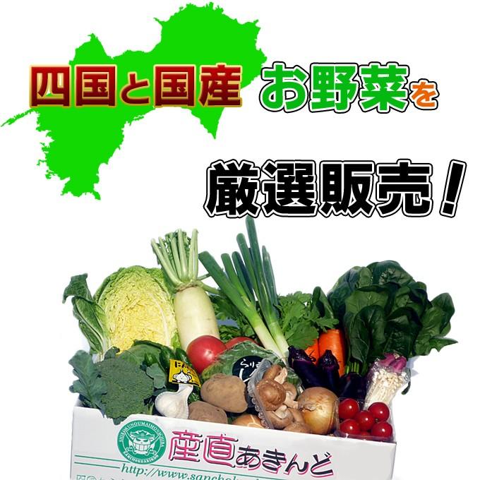 産直あきんど厳選野菜の詰め合わせ15品セット たまご20個セット 送料無料