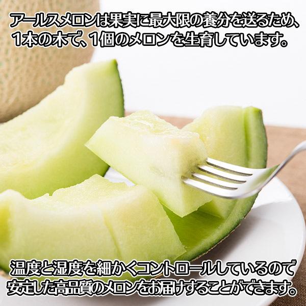 お歳暮 ギフト箱入り アールスメロン 1玉(1.3-1.5kg) 静岡県産 高知県産 熊本県産 メロン gift フルーツ マスクメロン