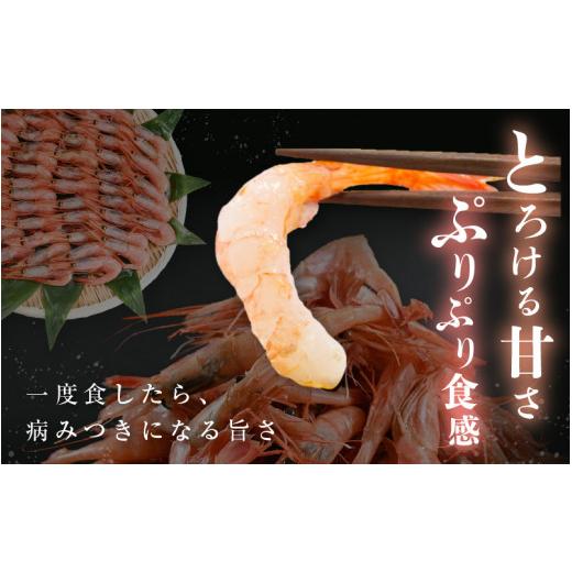 ふるさと納税 福井県 坂井市 甘えび 約1kg × 1箱  ぷりぷり食感にとろける甘さ！越前三国港産【甘海老 あまえび アマエビ えび 海老 有頭 刺身 生食 海鮮 海…