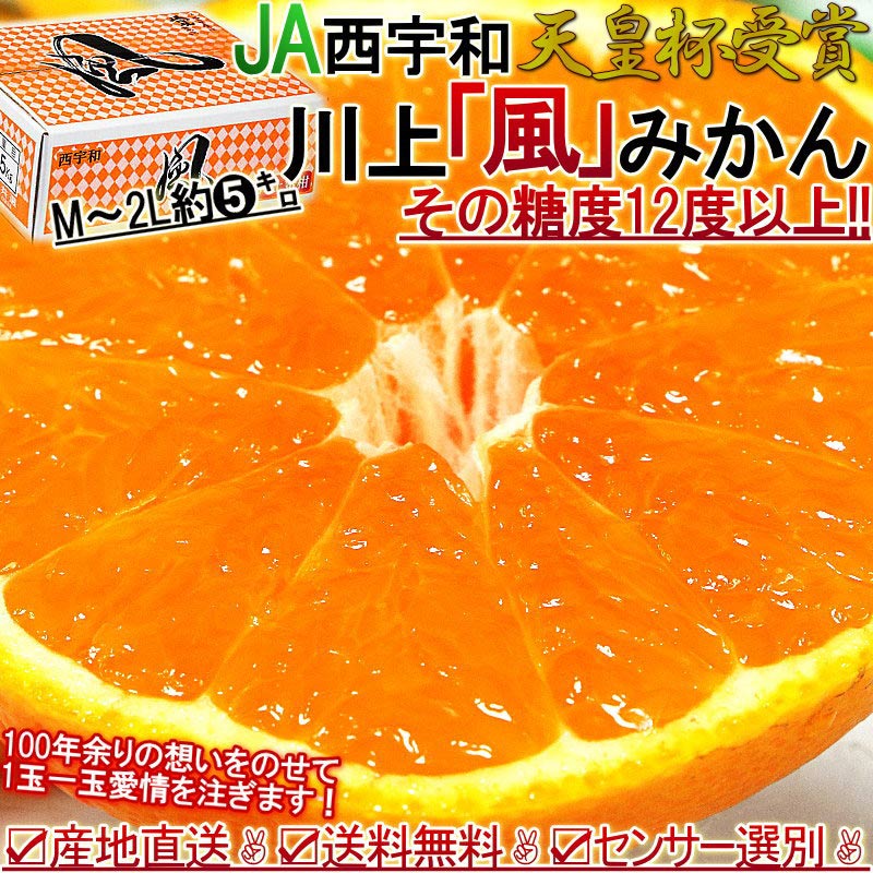 産地直送 川上みかん 風 約5kg S～Lサイズ 愛媛県産 JAにしうわ 天皇杯受賞の川上ブランド！糖度12度保証で抜群の美味しさ