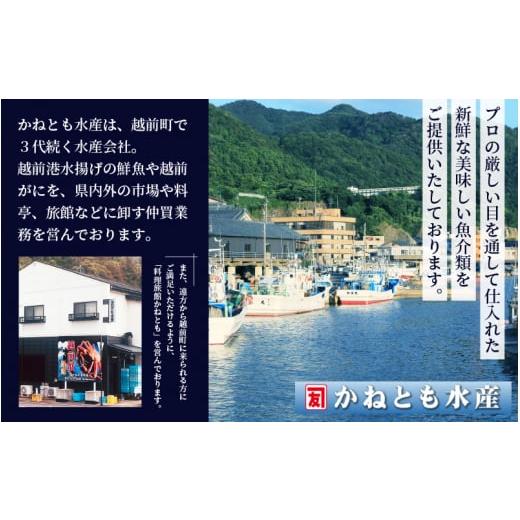 ふるさと納税 福井県 越前町 越前がに本場の越前町からお届け！ 越前がに極 浜茹で × 1杯（生で1.5kg以上） かにの食べ方しおり付き【福井県…