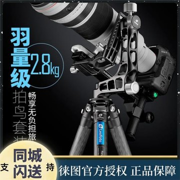 徠圖/leofoto LS-365C+PG-1懸臂鏤空云臺腳架套裝 10層碳纖維專業