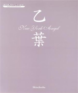  乙葉　Ｎｅｗ　Ｙｏｒｋ　ａｎｇｅｌ 超立体プライベートｖｉｅｗ　「生ポジ」コレクションｂｏｘ／乙葉