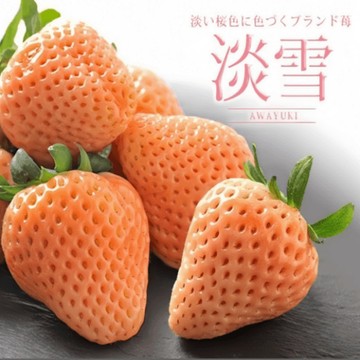 🍓（ 淡雪草莓種子）（あわゆき） 超值200粒裝 原日本草莓品種 原產地稀有淡雪草莓種子 四季懶人盆栽水果種子