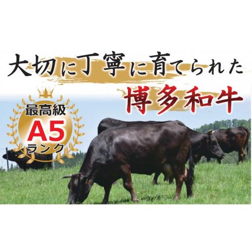 ふるさと納税 福岡県 那珂川市 博多和牛A5しゃぶしゃぶすき焼き用（ロース肉・モモ肉・ウデ肉）1kg（500g×2p）＜株式会社M…