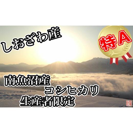 ふるさと納税 新潟県 南魚沼市 生産者限定 契約栽培 南魚沼しおざわ産コシヒカリ