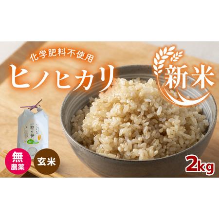 ふるさと納税 無農薬・化学肥料不使用 ヒノヒカリ(玄米) 2kg 山口県美祢市