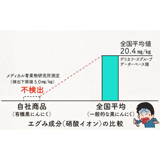 ふるさと納税 高知県 須崎市 定期便 3回 黒 ニンニク 産地直送 有機野菜 健康食品 小分け パック セット 高知県 須崎市