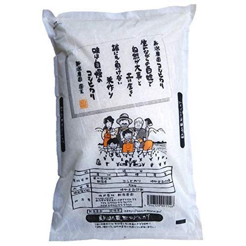 精米新潟県産 コシヒカリ 新米 令和2年産 米 コメ (5kg×1袋)