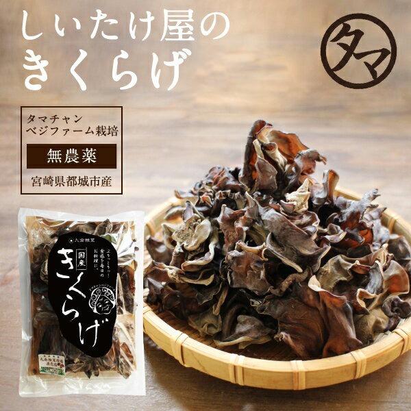 国産きくらげ 250g 業務用 乾燥 干し 木耳 キクラゲ きのこ キノコ 日本 九州 送料無料