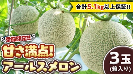 季節限定 ！ 甘さ満点 アールス メロン 3玉 入箱  先行予約 果物 フルーツ 農家直送 産直 青肉メロン 特産品 マスクメロン[BC044sa]