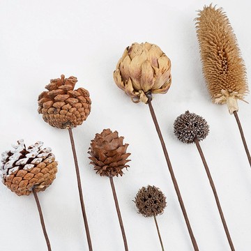 松果 楓果 森林果 天然帶梗 拍攝背景 鐵絲長梗 金松果 白松果 棉花 拍照道具 乾燥花【RI2535】《Jami》