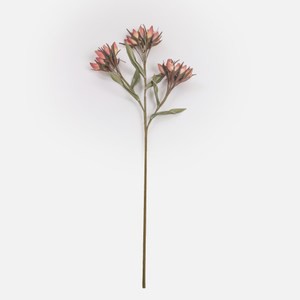 Flora芙蘿拉花插燈宮小 紫