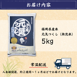 福岡県産 元気つくし 無洗米 5kg(5kg×1) [a0196] 株式会社 藤食糧 添田町 ふるさと納税