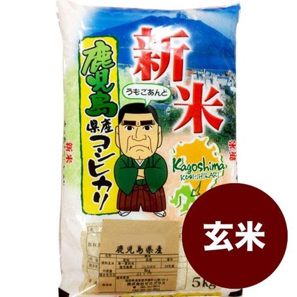 鹿児島コシヒカリ 玄米  5kg 令和5年産