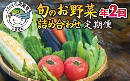 阿波の国海陽町　旬のお野菜詰め合わせセット１０‐１３品×２回