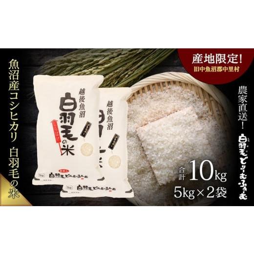 ふるさと納税 新潟県 十日町市 ≪令和5年産≫　農家直送！魚沼産コシヒカリ「白羽毛の米」精米 (5kg×2袋) 10kg