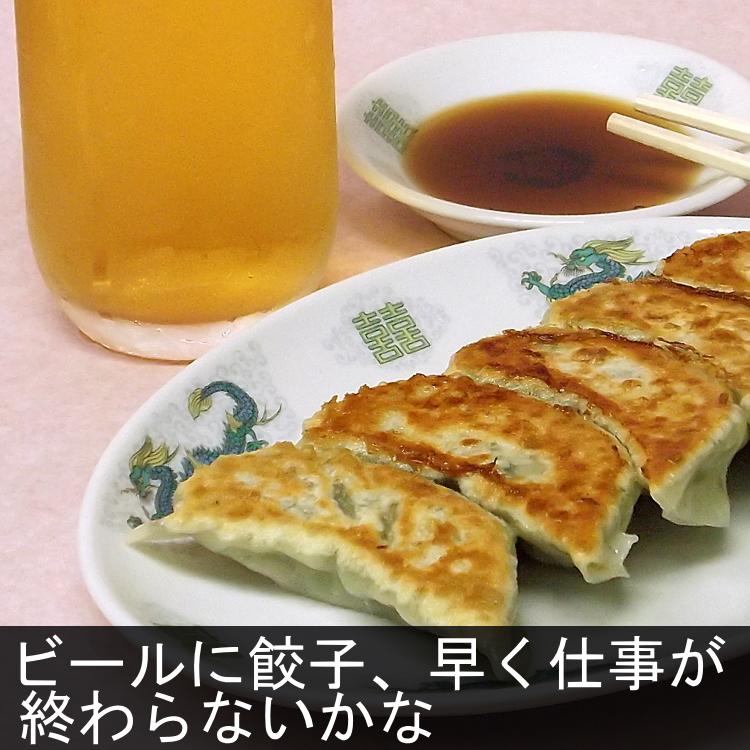 餃子 ギョーザ 10パック ラー油多め 取り寄せ 手づくり 冷凍 点心 中華