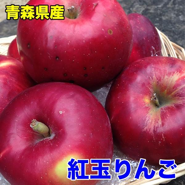 りんご 訳あり 18kg 青森県産 紅玉りんご 約18Kg 訳あり 送料無料