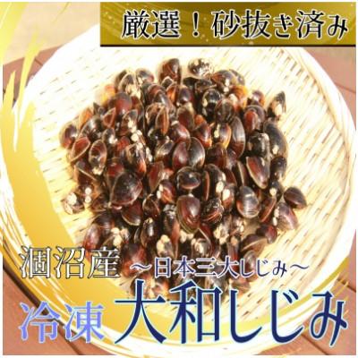 ふるさと納税 鉾田市 涸沼産冷凍大和しじみ(砂抜き済み)