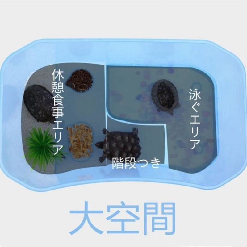 亀の水槽 大きい 両生類 カメの楽園 脱出防止 飼育ケース 亀の水槽 大きい 両生類 カメの楽園 脱出防止 飼育ケース